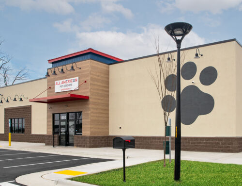 All American Pet Resorts